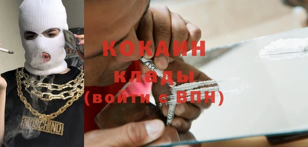 ПСИЛОЦИБИНОВЫЕ ГРИБЫ Аркадак
