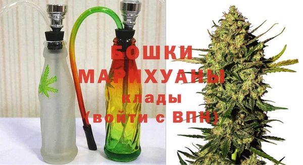 ПСИЛОЦИБИНОВЫЕ ГРИБЫ Аркадак