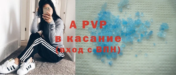 ПСИЛОЦИБИНОВЫЕ ГРИБЫ Аркадак