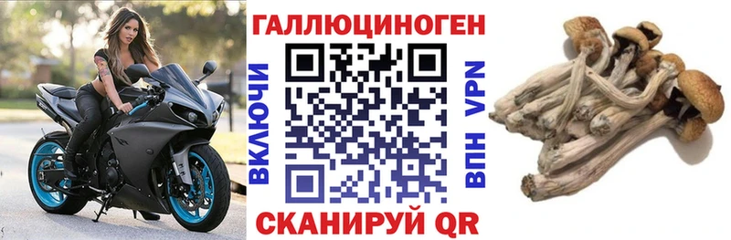 Галлюциногенные грибы GOLDEN TEACHER  Новоаннинский 
